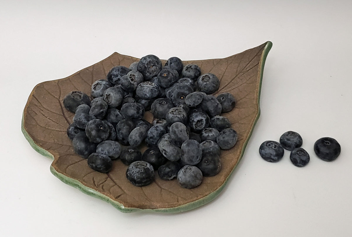Leaf Plates