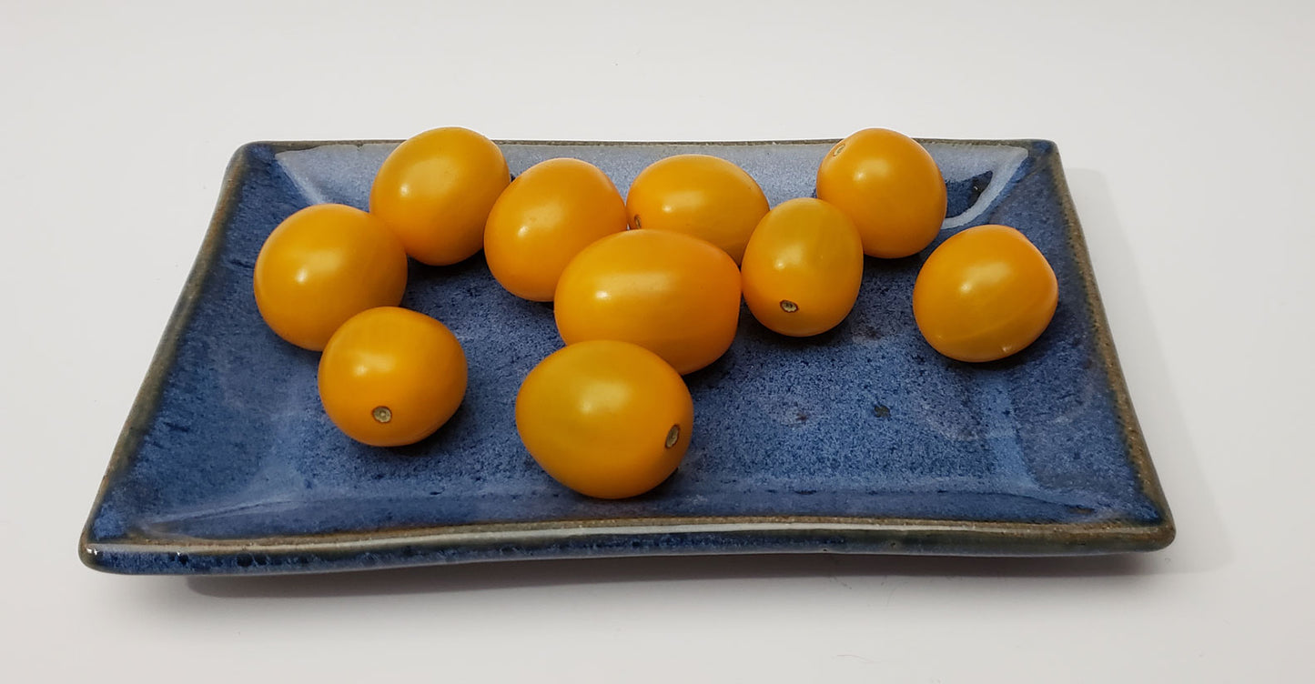 Small Square Plate