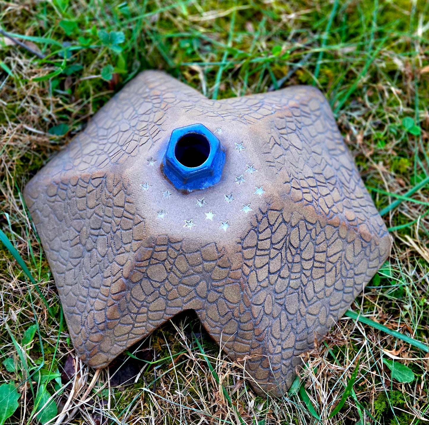 Toad Houses